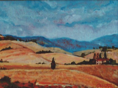 Campi di grano