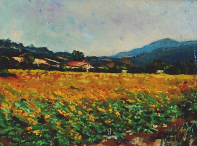 podere alla tabaccaia