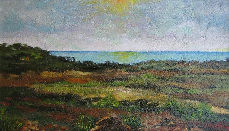 il mare visto da Pomaia