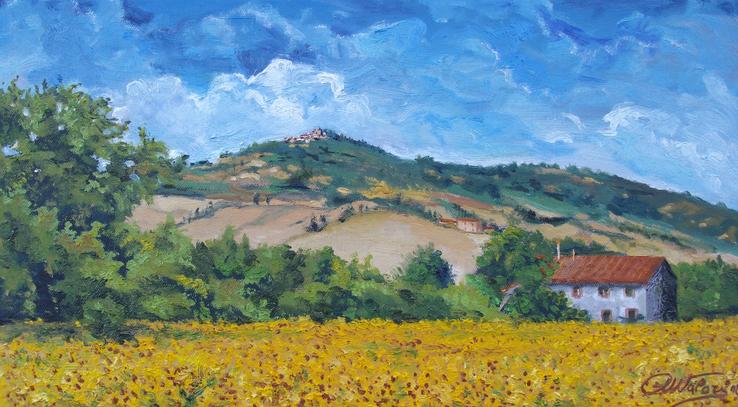 Campo di girasoli con veduta di Guardistallo