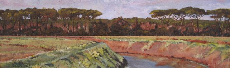 panorama con pineta dei cavalleggeri