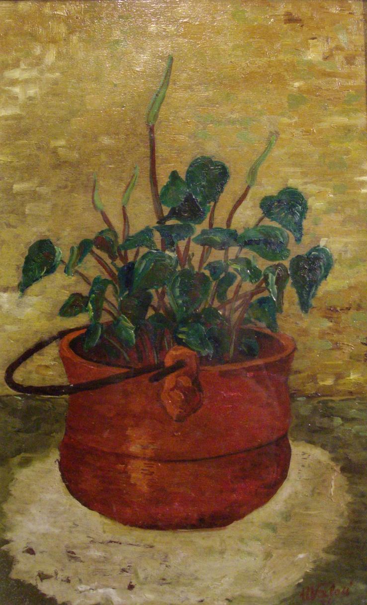 piantina con portavasi rosso