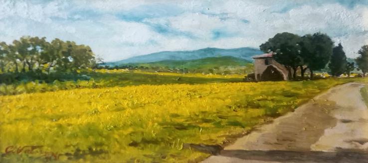 campi di solla alla Cinquantina