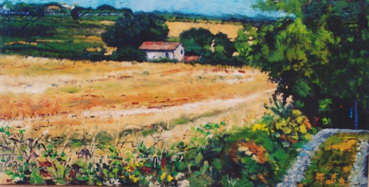 Campi di estate in Linaglia