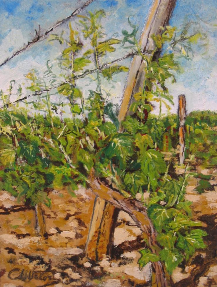 la vigna