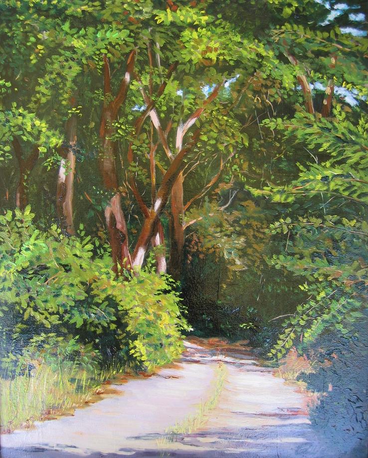 Sulla Sterza strada nel bosco