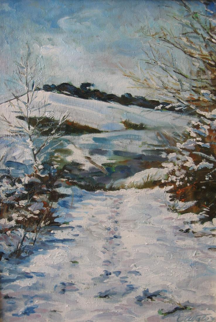 la nevicata del 2° millennio