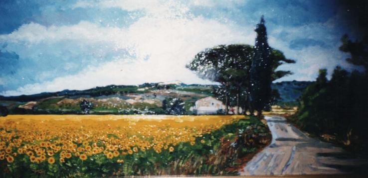 girasoli alla steccaia