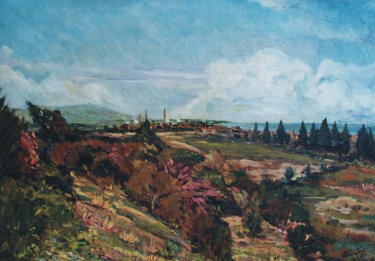 panorama di Rosignano con stabilimento