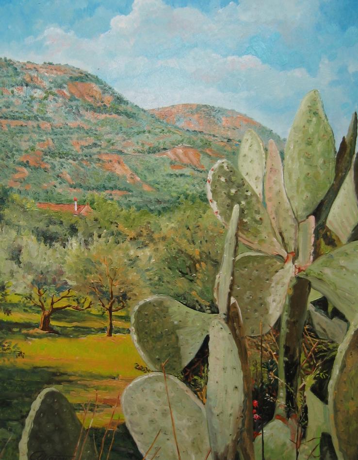 Colline sarde Iglesias