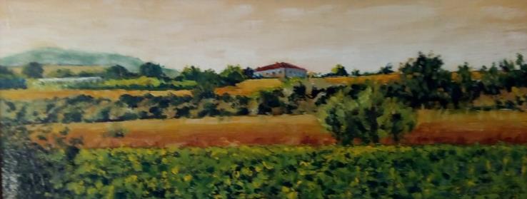 il podere Fontirosso