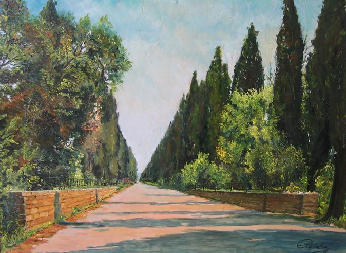 il viale di Bolgheri