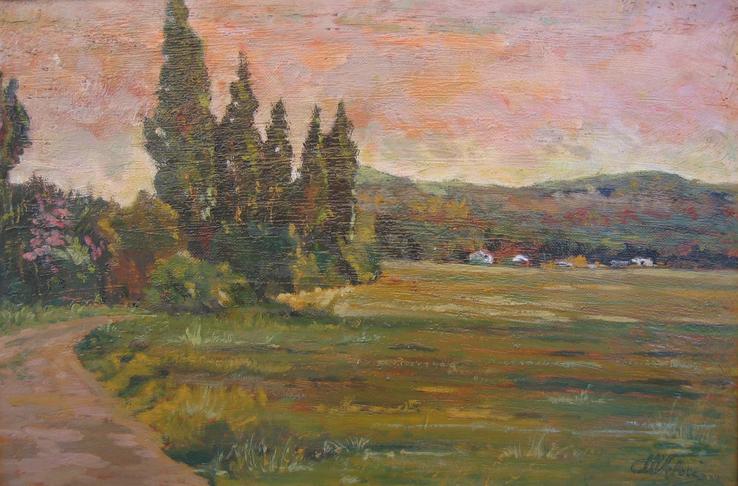 Cipressi sui gorili
