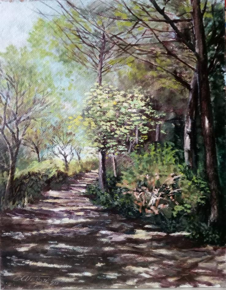 la pineta al fosso nuovo