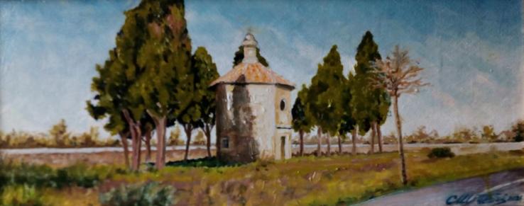 San Guido di Bolgheri
