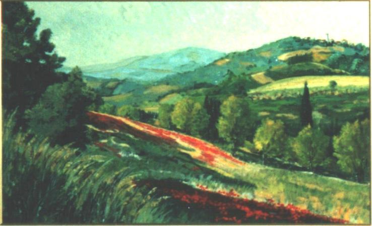 Campo di Papaveri
